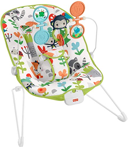 Photo 1 of Fisher-Price Baby's Bouncer Forest Explorers, Baby Bouncing Chair for Soothing and Play for Newborns and Infants