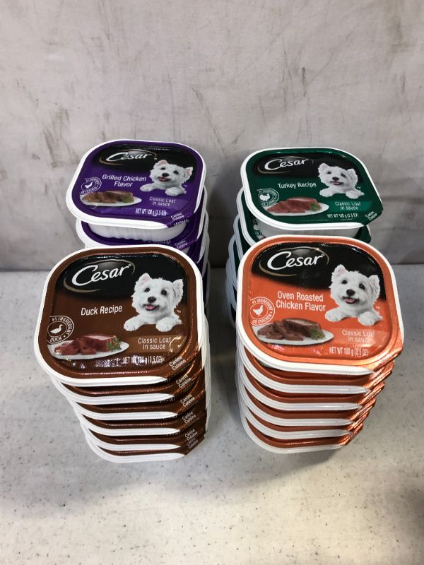 Photo 2 of Cesar Poultry Variety Pack with Real Chicken, Turkey & Duck Dog Food Trays