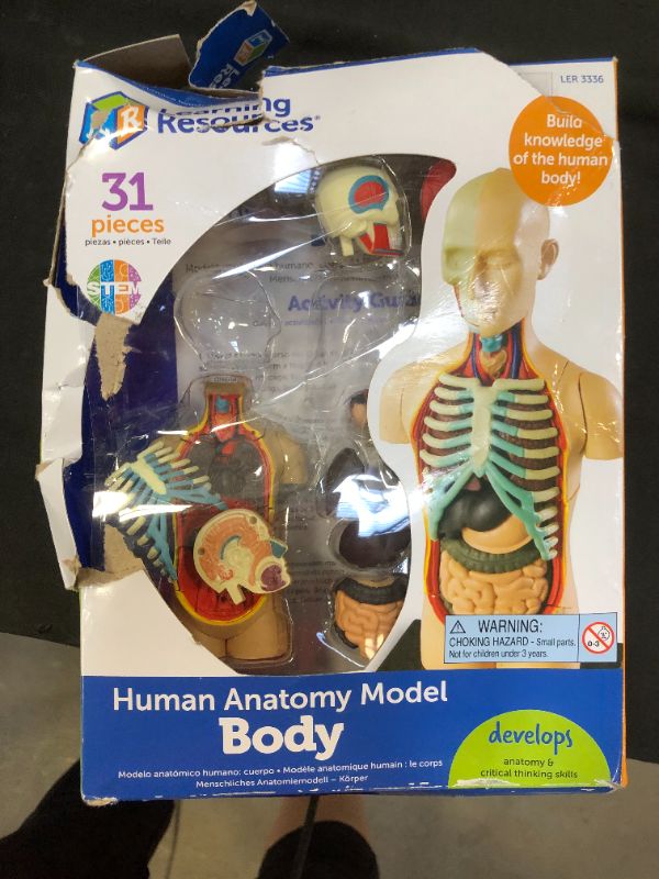 Photo 2 of Learning Resources Human Body Model, Science Classroom Demonstration Tools, Realistic Human Anatomy Display, 31Piece, Grades 3+, Ages 8+
