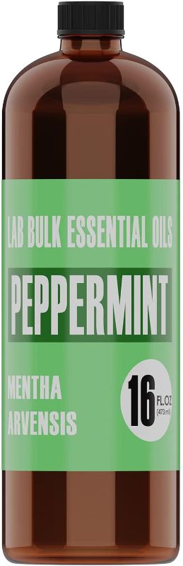 Photo 1 of 16oz Bulk Peppermint Essential Oil (Giant 16 Ounce Bottle- Therapeutic Grade Peppermint Oil) Perfect for Aromatherapy Diffuser, Candle & Soap Making, Lotions, Body Wash
