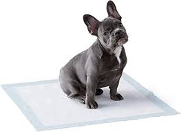 Photo 1 of Amazon Basics Dog and Puppy Pads, Leak-proof 5-Layer Pee Pads with Quick-dry Surface for Potty Training