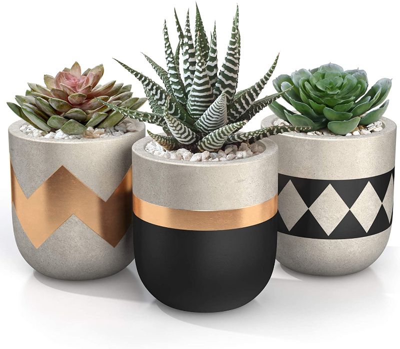 Photo 1 of 3 inch Small Succulent Pots with Drainage - Set of 3 Concrete Planter Pots for Succulent Plants - Cement Planter Cactus Pots - Use as Succulent Planter, Cactus Pot, Mini Succulent Pots, Cactus Planter
