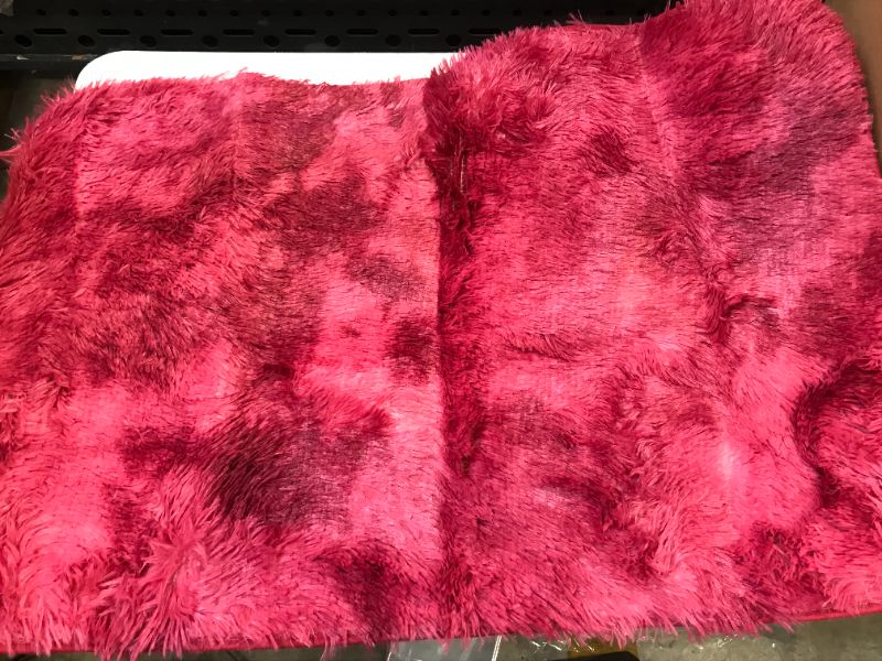 Photo 1 of 33 x 23 inches area rug color red 