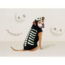 Photo 1 of Skeleton Dog and Cat Hoodie - Hyde & EEK! Boutique size medium 
