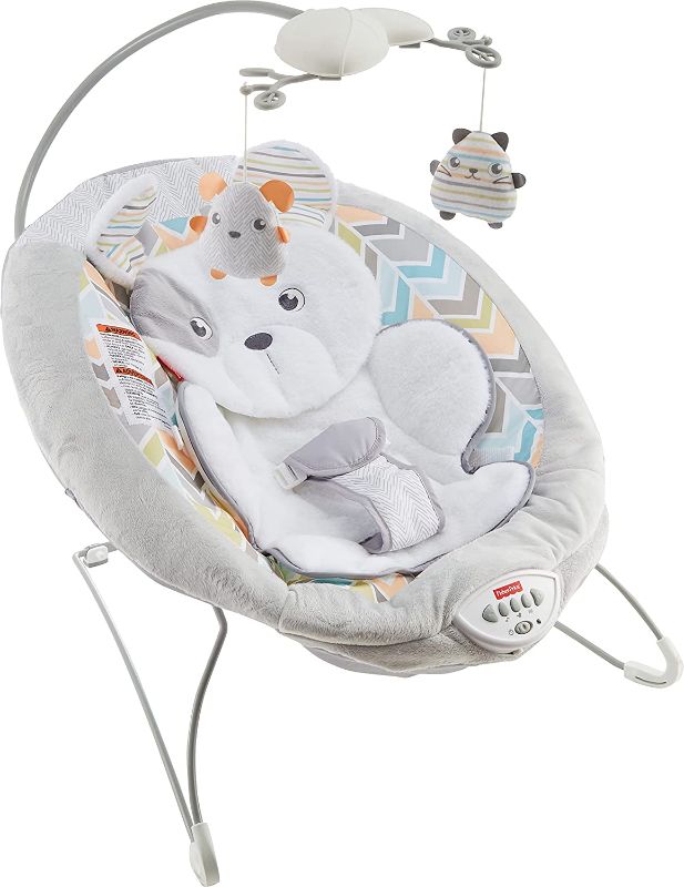 Photo 1 of Fisher-Price Sweet Snugapuppy Deluxe Bouncer, Portable Bouncing Baby Seat with Overhead Mobile, Music and Calming Vibrations, White
