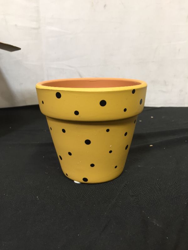 Photo 1 of 4.5” Succulent Planter Pot, Polka Dot Plant Pot