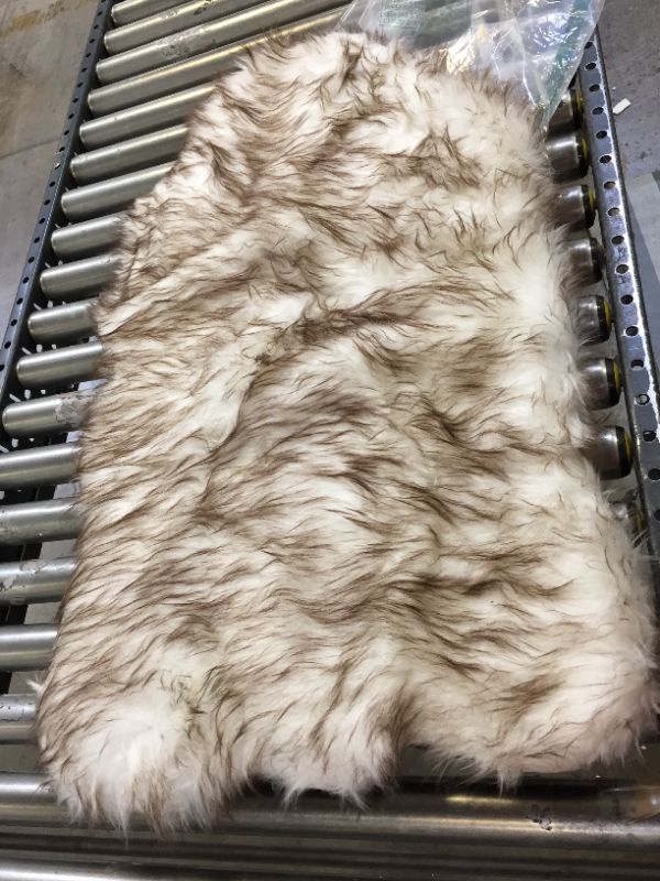 Photo 1 of faux fur dog bed