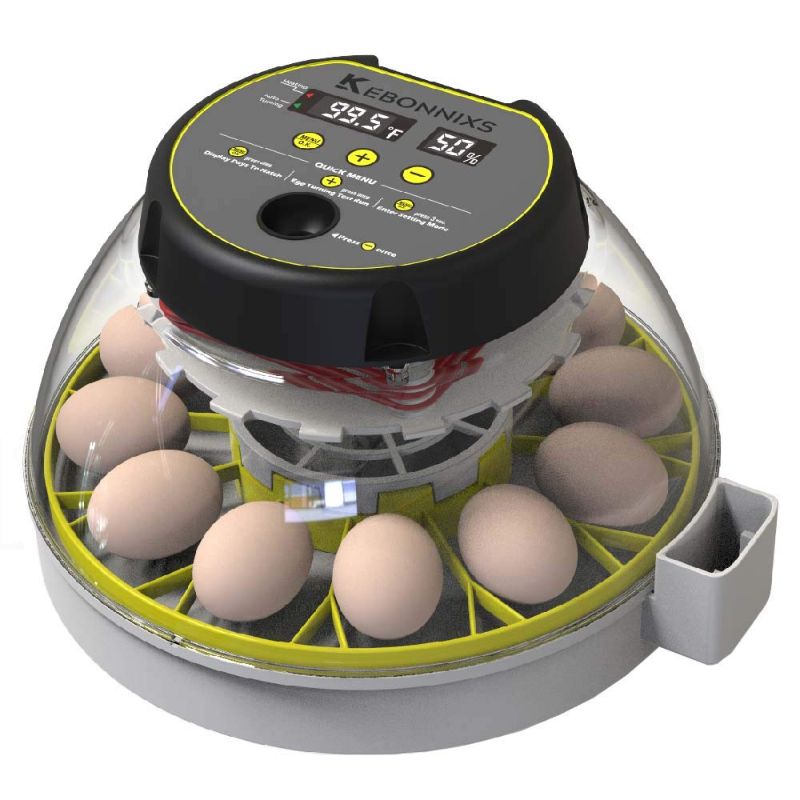 Photo 1 of KEBONNIXS 12 Egg Incubator with Humidity Display, Egg Candler, Automatic Egg Turner, for Hatching Chickens
