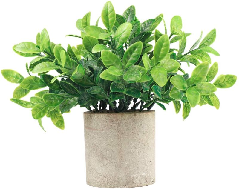 Photo 1 of 
iflove Small Fake Plants, Cute Artificial Potted Plant, Look Real Plastic Greenery in Pot for Bathroom Home Office Desk(Gardenia Leaves)