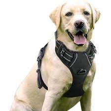 Photo 1 of technologymatter no pull dog harness size large 