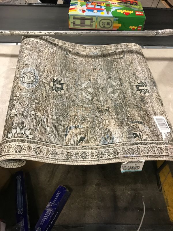 Photo 1 of Area Rug 2' 3" x 3' 9"