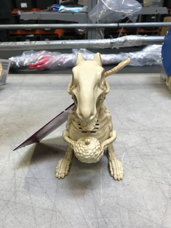 Photo 1 of Animated LED Halloween Skeleton Squirrel