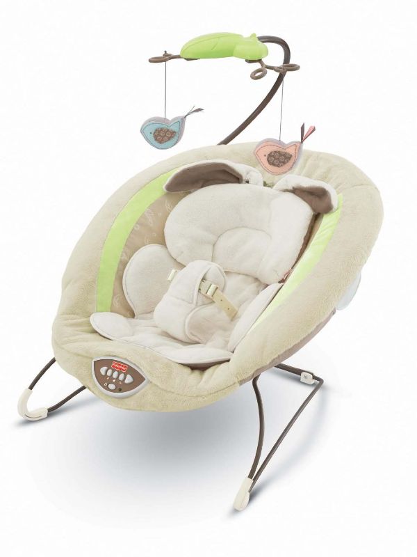 Photo 1 of Fisher-Price Snugabunny Deluxe Bouncer
