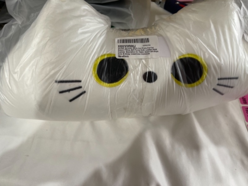 Photo 1 of CAT PLUSH PILLOW