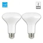 Photo 1 of ECOSMART 90-Watt Equivalent BR30 Dimmable ENERGY STAR LED Light Bulb in Bright White (2-Pack)
