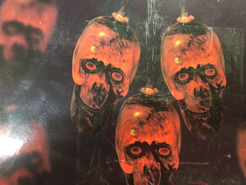 Photo 1 of ORANGE SKULL STRING LIGHTS