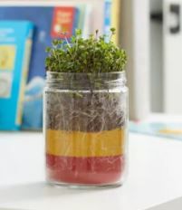 Photo 1 of Back to the Roots Organic Terrarium Kids' Grow Kit
