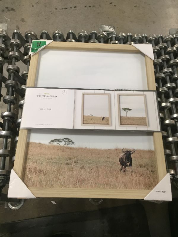 Photo 2 of (Set of 2) 16"x 20" African Landscape Framed Wall Art - Threshold
