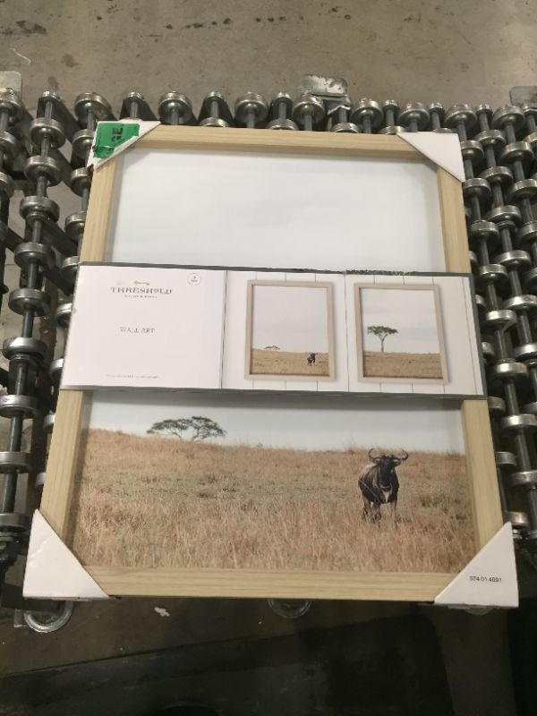 Photo 1 of (Set of 2) 16"x 20" African Landscape Framed Wall Art - Threshold
