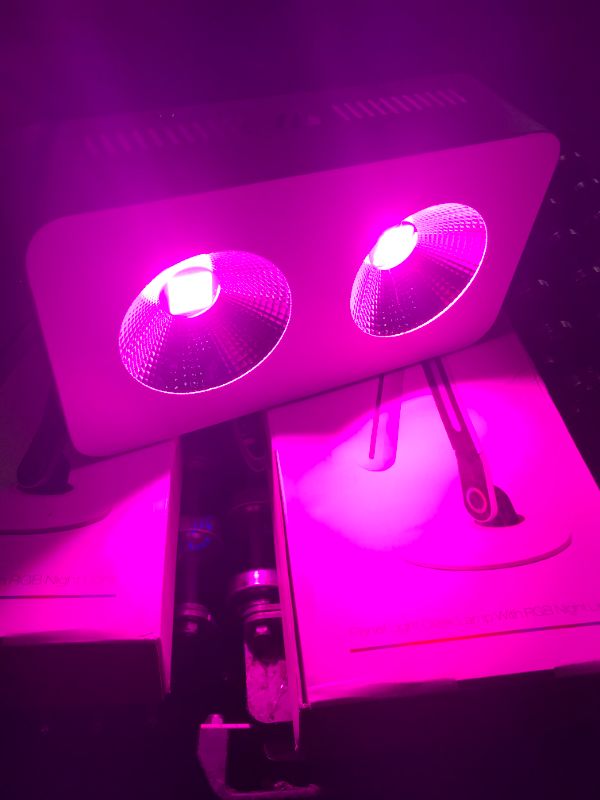 Photo 3 of LED Grow Lights
12"x7"