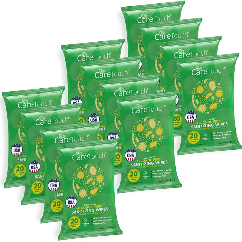 Photo 1 of Care Touch Alcohol-Free Hand Sanitizing Wipes - 12 Pouches of 20 Wipes - 240 Total - Antibacterial Hand Wipes with Vitamin E and Aloe Vera - For Babies and Adults - Made in the USA
