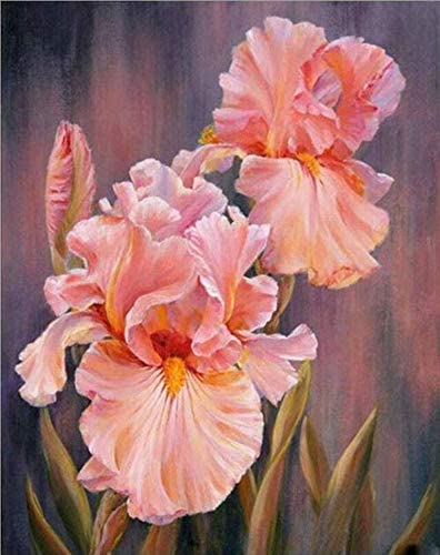 Photo 1 of Iris Diamond Painting by Numbers - MaiYiYi 5D Full Round Diamond Painting Plant Flower Diamond Painting Cross Stitch Kit Flower Crystal Diamond Painting Set...