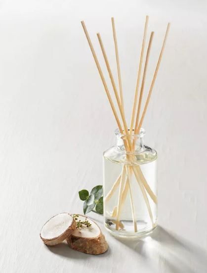 Photo 1 of 4 fl oz Birch & Amber Seasonal Oil Diffuser - Hearth & Hand™ with Magnolia
