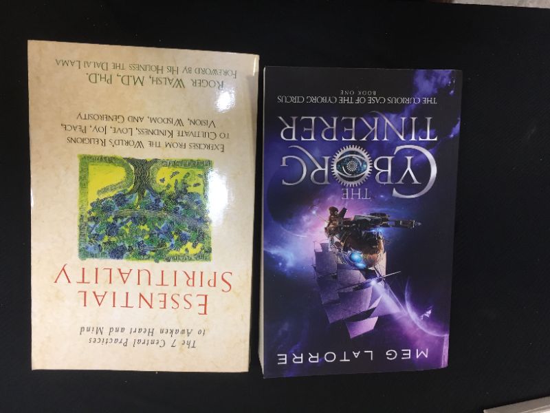 Photo 1 of 2 pack of books The Cyborg Tinkerer and Essential Spirituality 