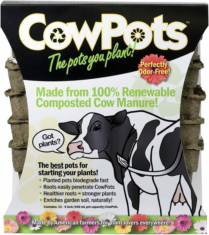 Photo 1 of CowPots 00102 Plantable Pots, Square, 4-in, 12-Pk. - Quantity 1
