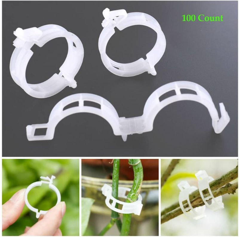 Photo 1 of AKOAK 100 Pcs Plant Support Clips for Garden Tomato Garden Vegetables Vine to Grow Upright and Makes Plants Twine Clips Vine, Beans, Vegetables, Fruits, Rose.
