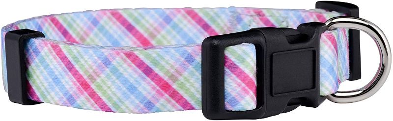 Photo 1 of Native Pup Plaid Dog Collar | Red Lumberjack, Pink, Pastel, Blue |
