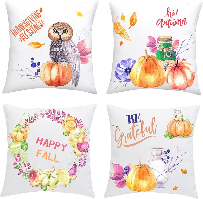 Photo 1 of Fall Decorations for Home Pillow Covers 18x18 pack of 4-SET OF 2