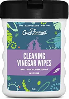 Photo 1 of Aunt Fannie's Travel Size Vinegar Cleaning Wipes, 25 Count 5 PACKS 