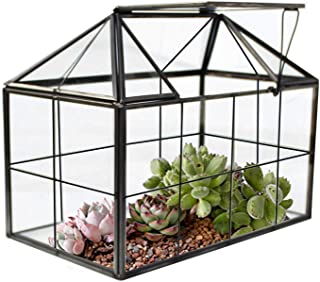 Photo 1 of Glass Terrarium Container Geometric House Shape and Top Swing Lid for Home Office Décor Planter Miniature Centerpiece Suitable for Succulent Moss Fern Cacti Small Tropical Plants
