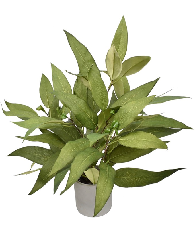 Photo 1 of DoubleWood Plant Support Cages 17.7 Inches Plant Cages with 3 Adjustable Rings and Artificial Eucalyptus Leaves.