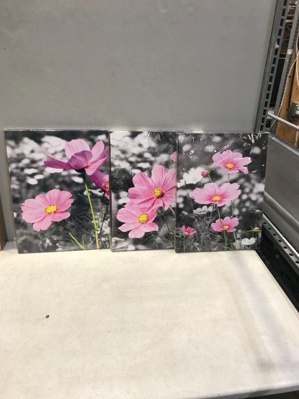 Photo 2 of Canvas Wall Art for Bedroom Wall Decor for Living Room Modern Family Bathroom Canvas Art pink Flowers Hang Pictures Artwork Black and white Wall Paintings Kitchen Home Decorations 12" x 16" 3 Pieces
