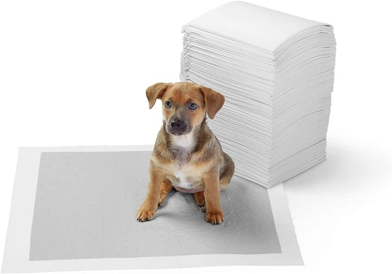 Photo 1 of Amazon Basics Odor-Control Carbon Dog and Puppy Training Pads, Leakproof 5-Layer Pee Pads for Potty Training, Regular (22 x 22 Inches) - 120-Pack
