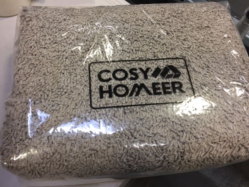 Photo 1 of COZY HOMEER SUPER SOFT INDOOR AREA RUG 27X45 CHALK