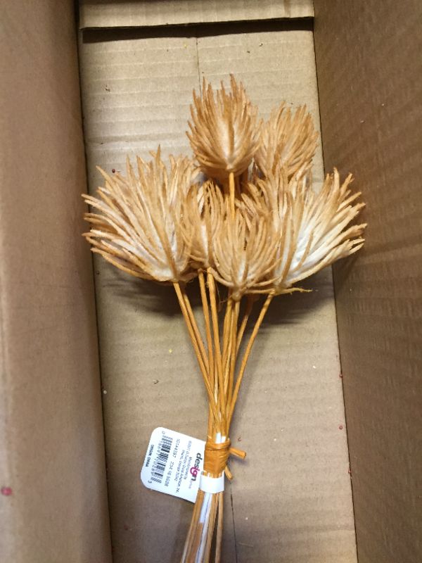 Photo 1 of 6 Pack Floral Picks Various Colors and Styles