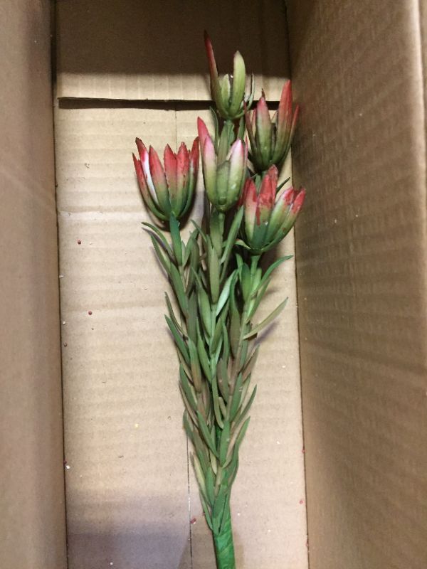 Photo 1 of 6 Pack Floral Picks Various Colors and Styles