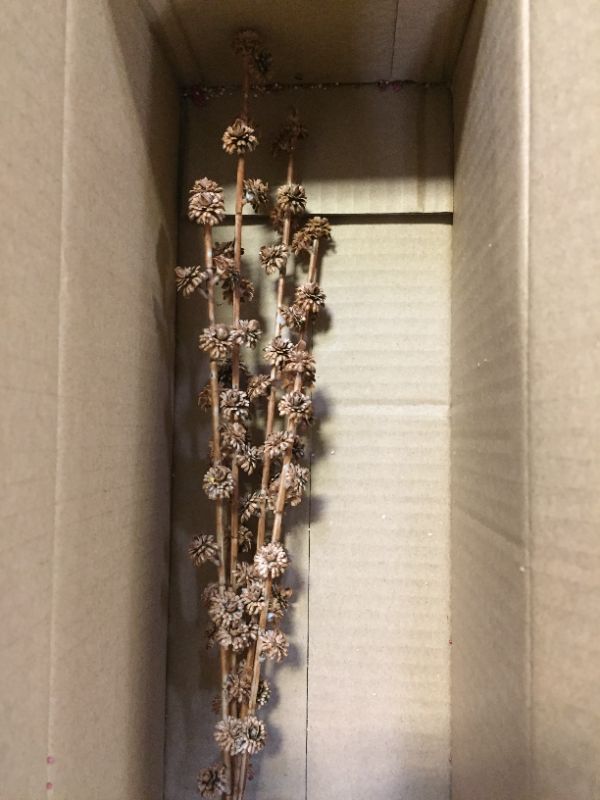 Photo 1 of 6 Pack Floral Picks Various Colors and Styles