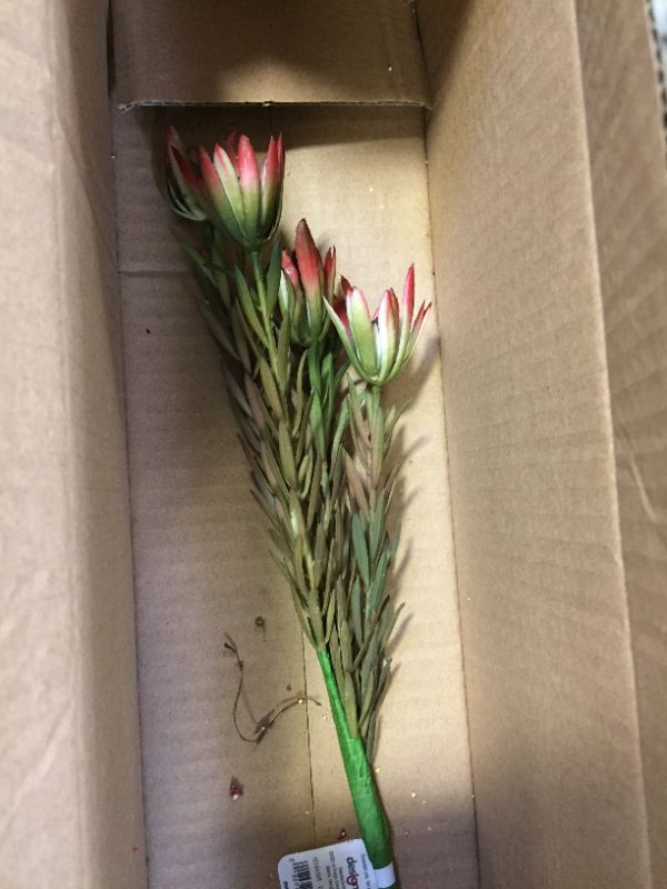 Photo 1 of 6 Pack Floral Picks Various Colors and Styles