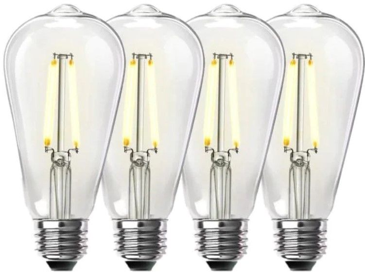 Photo 1 of 60-Watt Equivalent ST19 Dimmable Straight Filament Clear Glass Vintage Edison LED Light Bulb, Warm White (4-Pack)
