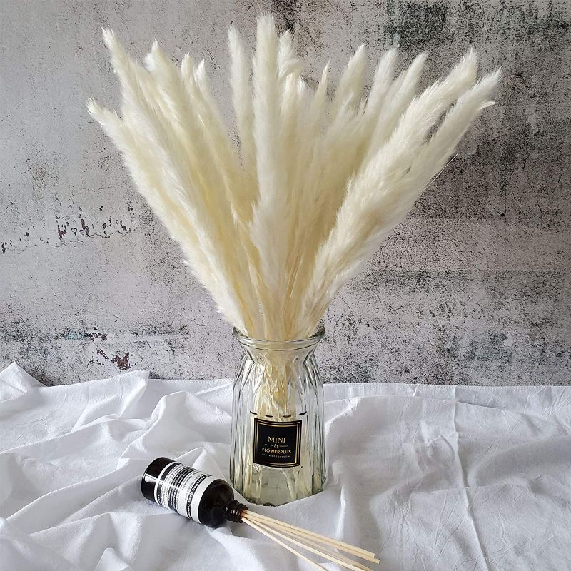 Photo 1 of 45cm Natural Dried Pampas Grass 30 Pcs for Flower Arrangements Home Decor (White)
