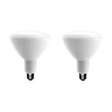 Photo 1 of 75-Watt Equivalent BR40 Dimmable ENERGY STAR LED Light Bulb Daylight 5000K (2 2-Packs)
