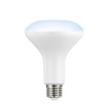 Photo 1 of 90-Watt Equivalent BR30 Dimmable ENERGY STAR LED Light Bulb Daylight (2 2-Packs)
