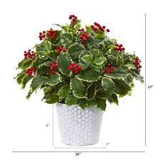 Photo 1 of 17 in. Variegated Holly Leaf Artificial Plant in Decorative Planter (Real Touch)
