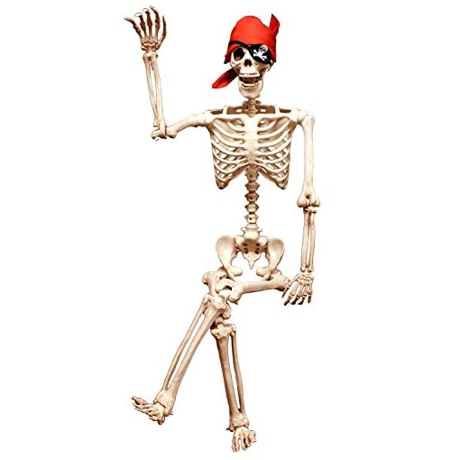 Photo 1 of 5 ft Pose-N-Stay Life Size Skeleton Full Body Realistic Human Bones with Posable Joints for Halloween Pose Skeleton Prop Decoration
