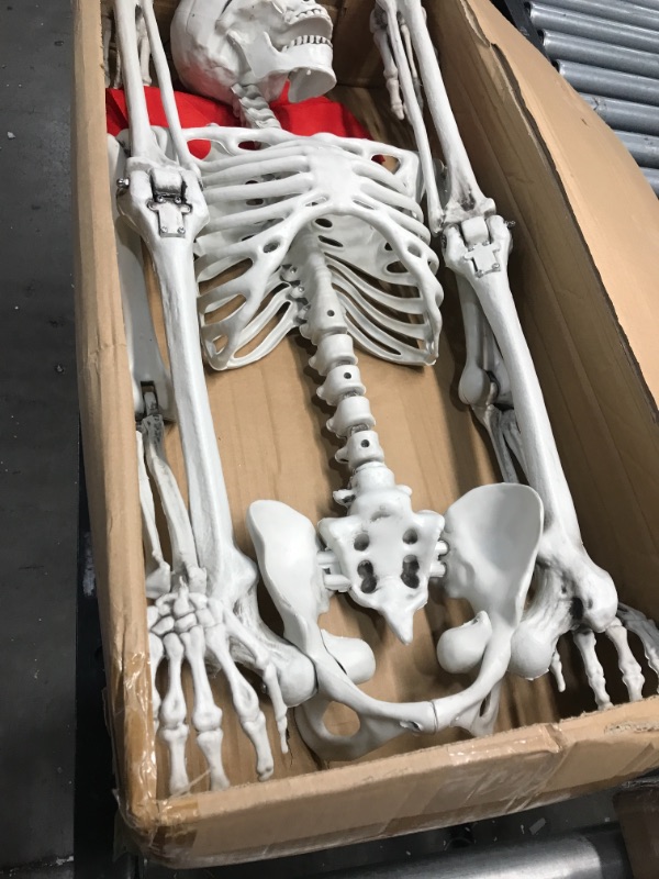 Photo 2 of 5 ft Pose-N-Stay Life Size Skeleton Full Body Realistic Human Bones with Posable Joints for Halloween Pose Skeleton Prop Decoration
