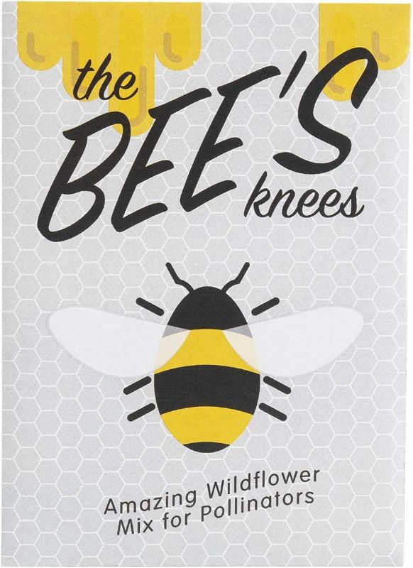 Photo 1 of American Meadows Wildflower Seed Packets ''The Bees Knees'' Favors (Pack of 20) - Pollinator Wildflower Seed Mix to Attract Hummingbirds, Bees, and Butterflies, Party Favors for Any Occasion